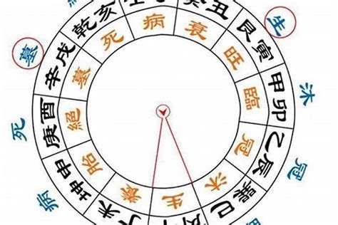 八字 墓|八字算命中墓、死、病、衰、帝、临、冠、沐分别是什么含义